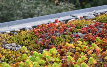 the cost of Haxby green roof installation