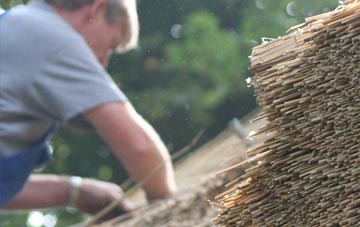 professional Haxby thatchers